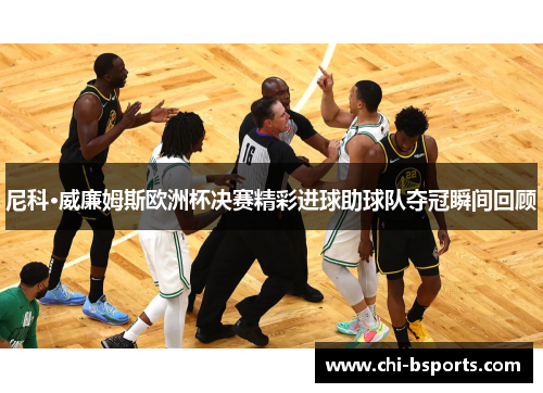 尼科·威廉姆斯欧洲杯决赛精彩进球助球队夺冠瞬间回顾